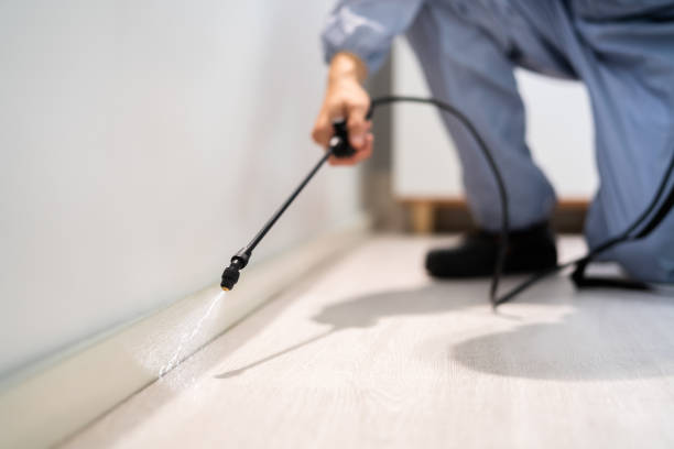 Licensed Fumigation Services service in Hobbs, NM - Nex Pest Control